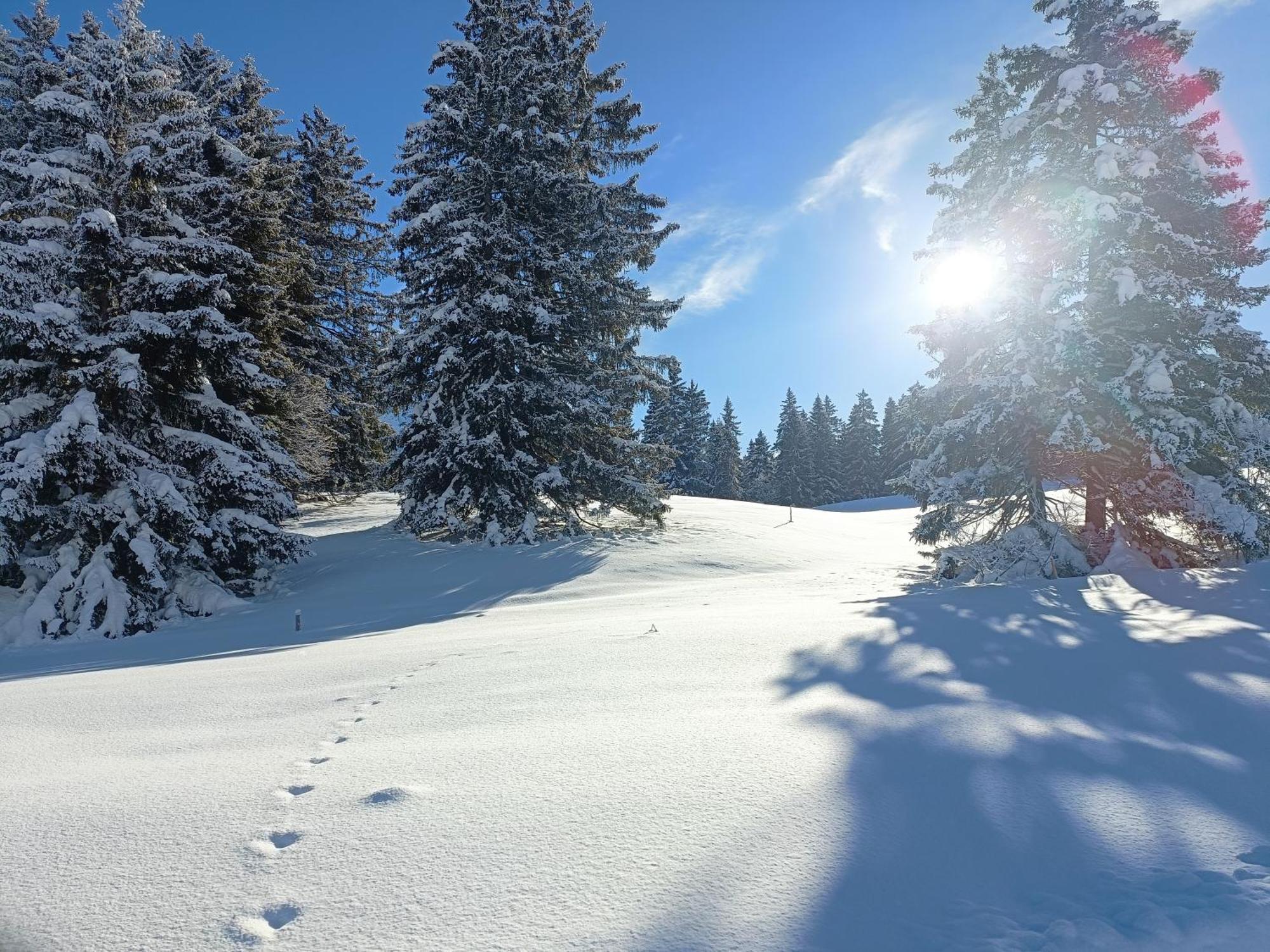 Апартаменти Ferien In Der Region Lenzerheide Екстер'єр фото